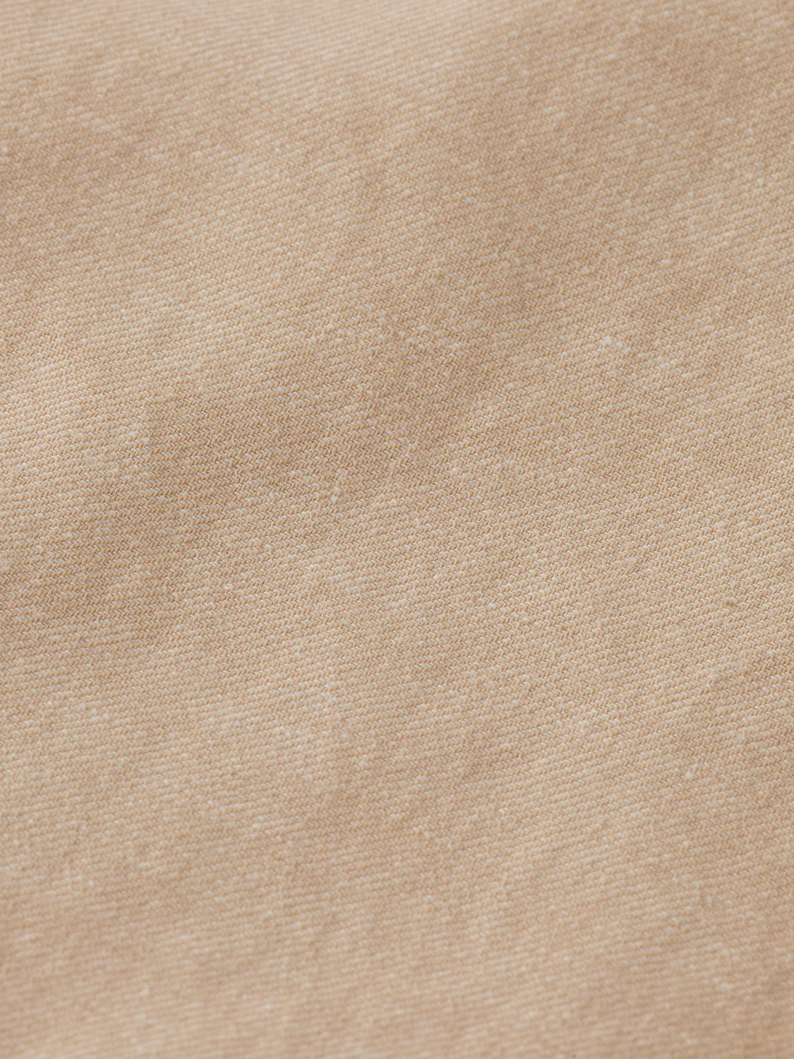 ברמודת פשתן