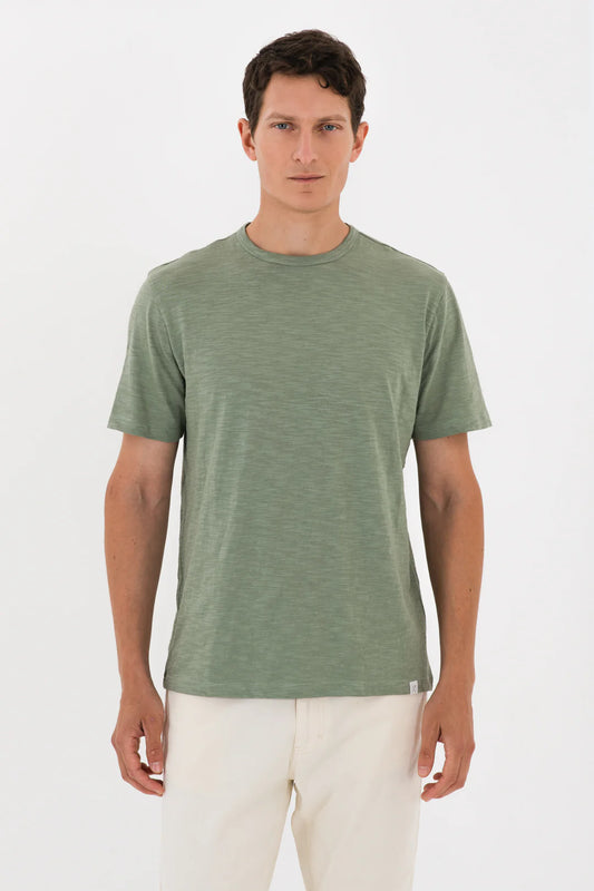 טישרט בייסיק