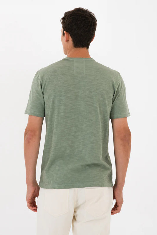 טישרט בייסיק