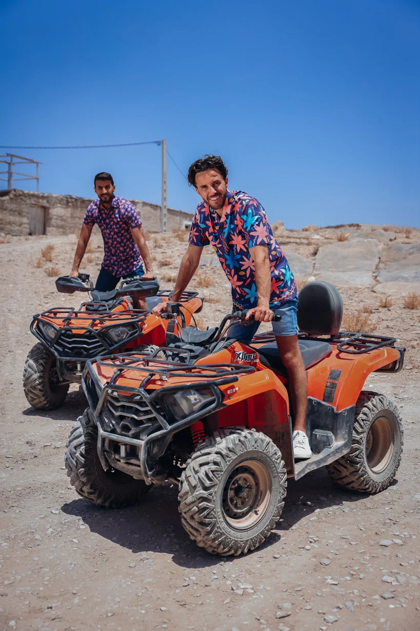 מכופתרת צבעי מים