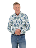 מכופתרת דג קוי
