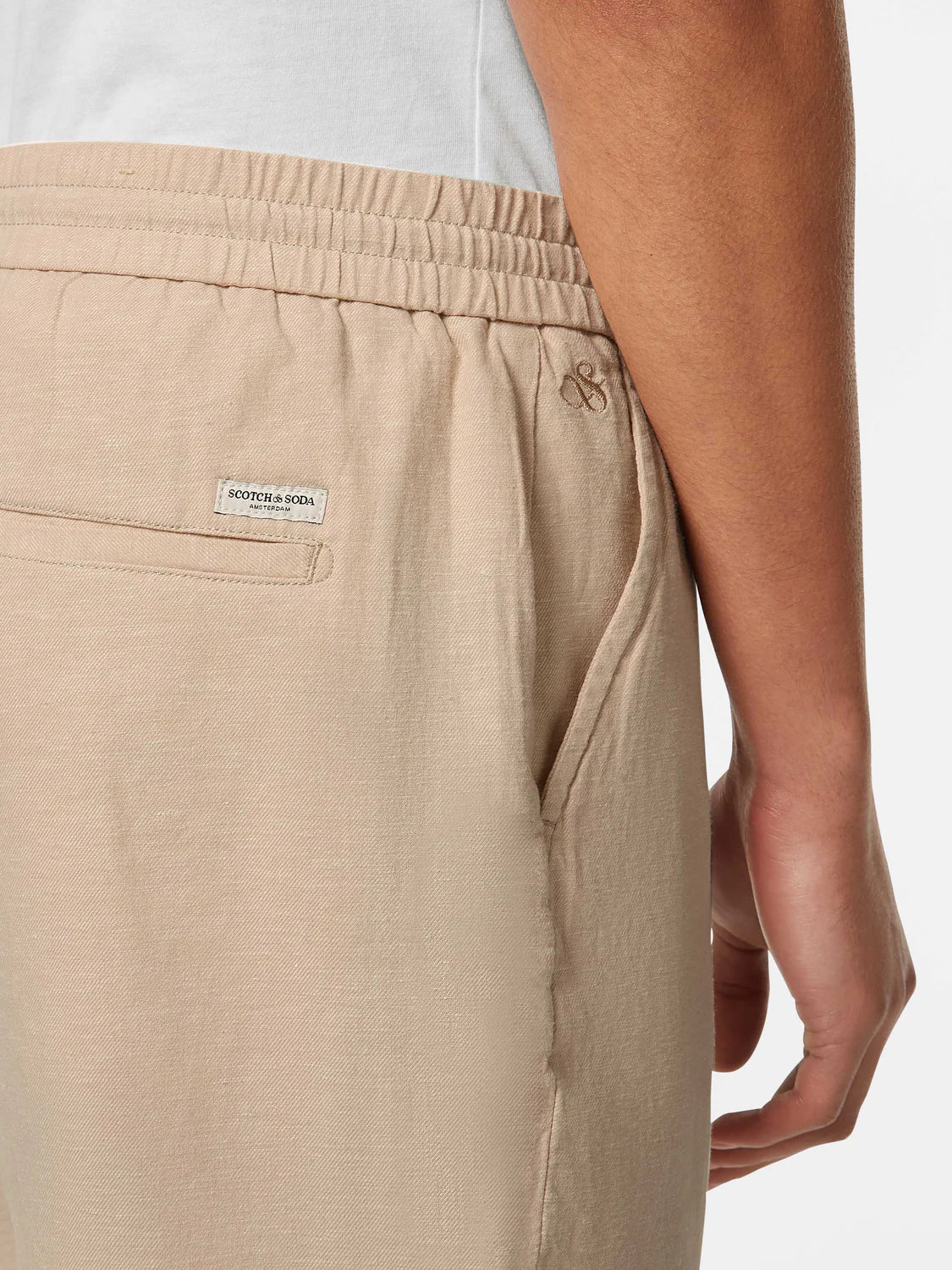 ברמודת פשתן