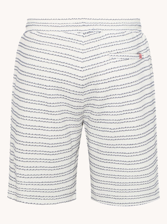 ברמודת פסים