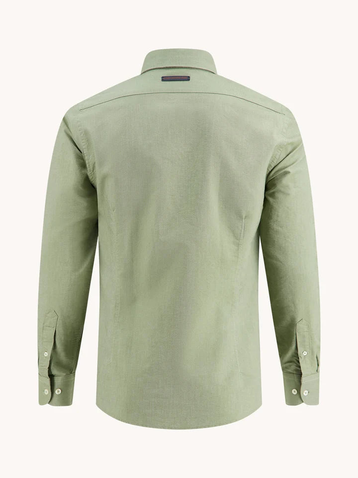 מכופתרת אוקספורד