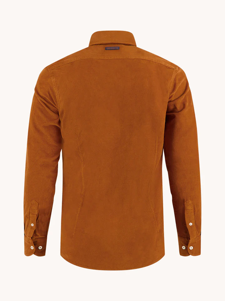 מכופתרת קורדורוי