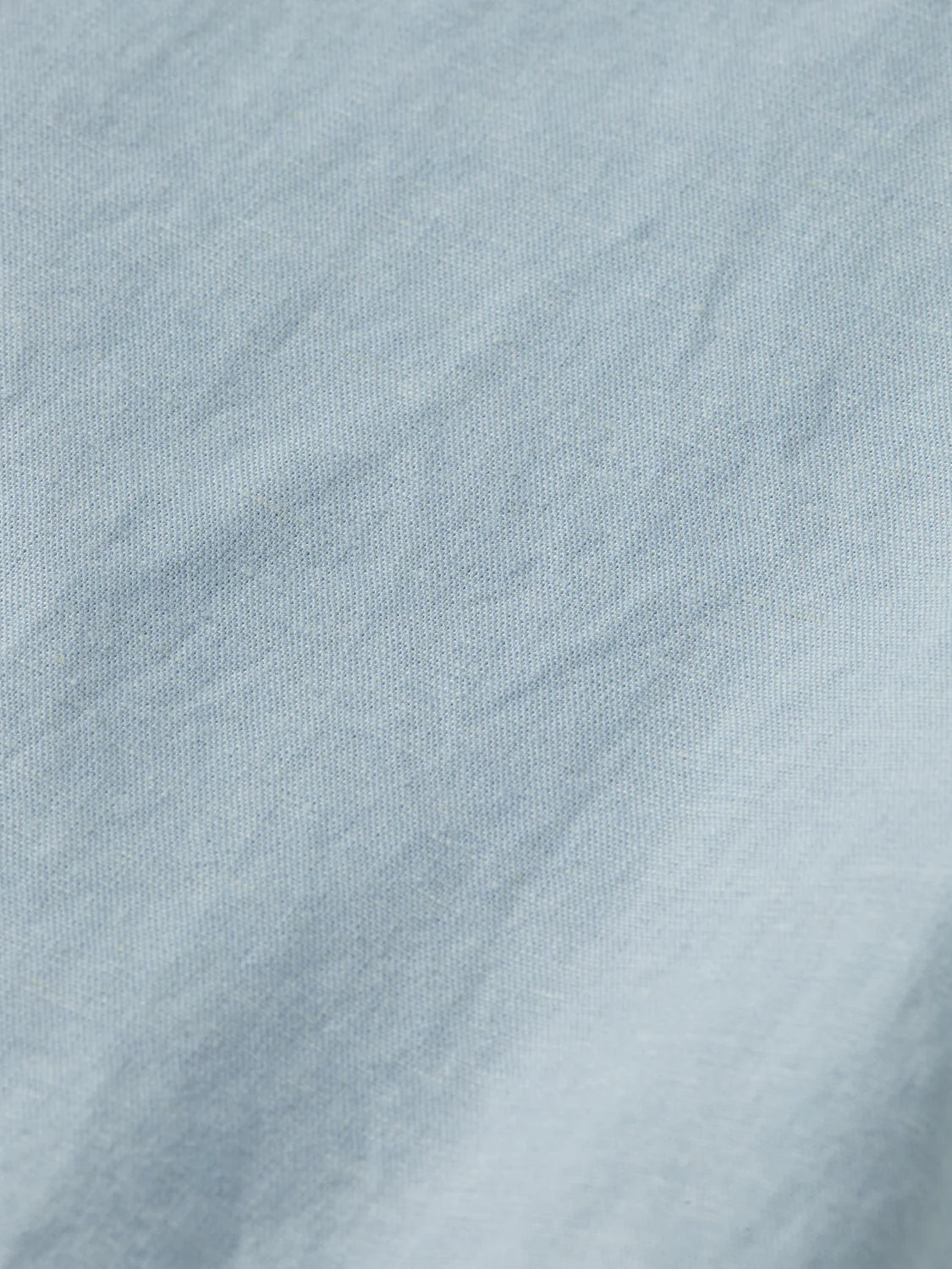 ברמודת פשתן