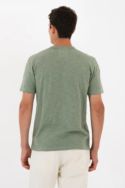 טישרט בייסיק