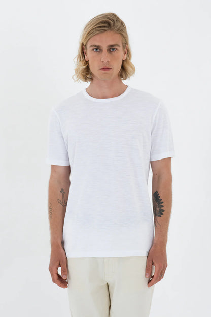 טישרט בייסיק