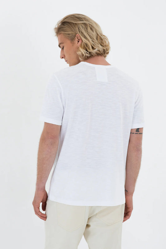 טישרט בייסיק